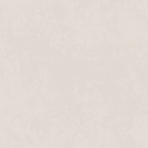 Porcelanato Ret Acetinado Century (121x122 2,93m2/cx)