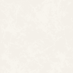 Porcelanato Ret Acetinado Dawn Greige (121x121 2,93m2/cx 2pç/cx)